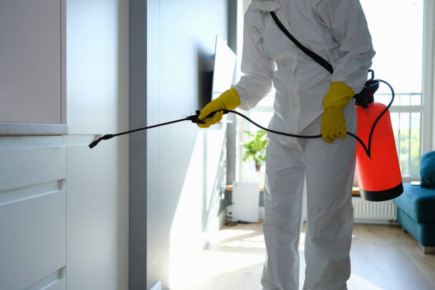 Mold Remediation for Vacation Homes in Clearlake, CA